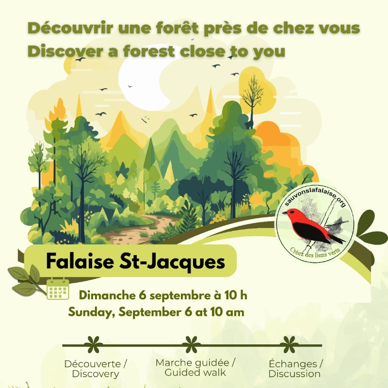 A winding path leads through a vibrant green forest with rolling hills and a crescent moon in the background, while the foreground displays event details for a discovery walk at Falaise St-Jacques.