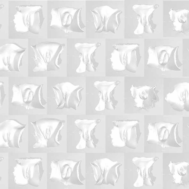 A repeating pattern of white, abstract, sculptural forms resembling vulvas fills the frame against a light gray background.
