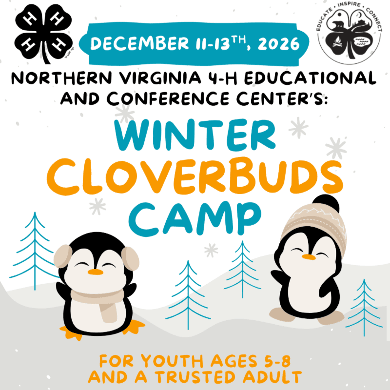 Two cartoon penguins, one wearing earmuffs and a scarf, and the other a beanie, stand in a snowy landscape with stylized pine trees, advertising the Northern Virginia 4-H Educational and Conference Center's Winter Cloverbuds Camp for youth ages 5-8 and a trusted adult, scheduled for December 11-13, 2026.