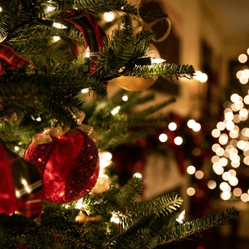 green Christmas tree