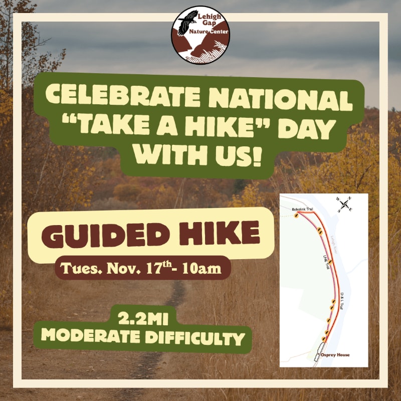 A dirt path winds through autumn foliage in the foreground, leading to a flyer advertising a guided hike for National "Take a Hike" Day, with a map and event details overlaid on the natural background.