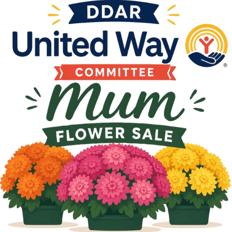 Three potted mum plants in vibrant orange, pink, and yellow hues are displayed in the foreground, set against a white background featuring the DDAR United Way Committee Mum Flower Sale logo and the United Way emblem.