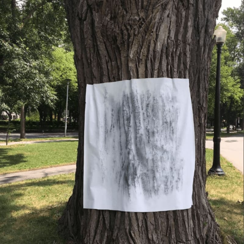 A white paper with a charcoal drawing of trees is taped to a large tree trunk in the foreground, with a park and lamppost visible in the blurred background.