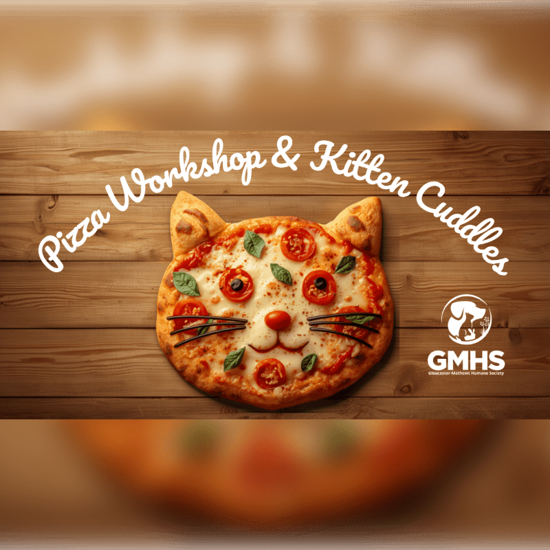 A cat-shaped pizza with "Pizza Workshop & Kitten Cuddles" written above it rests on a wooden surface, with a blurred background.