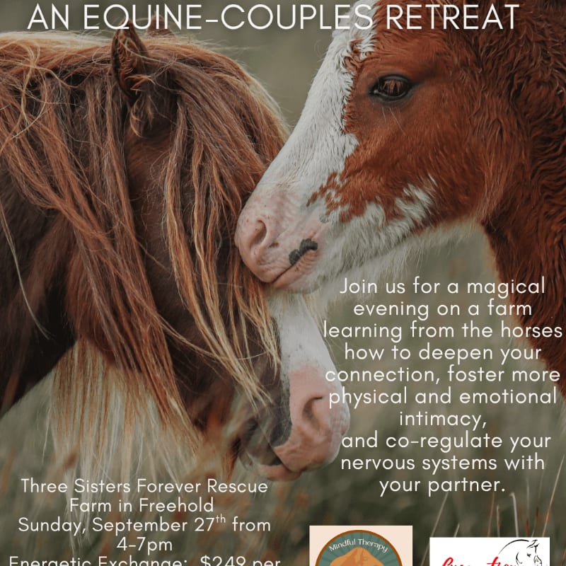 Two horses nuzzle each other in the foreground, with text about an equine-couples retreat overlaid on the right side of the image.