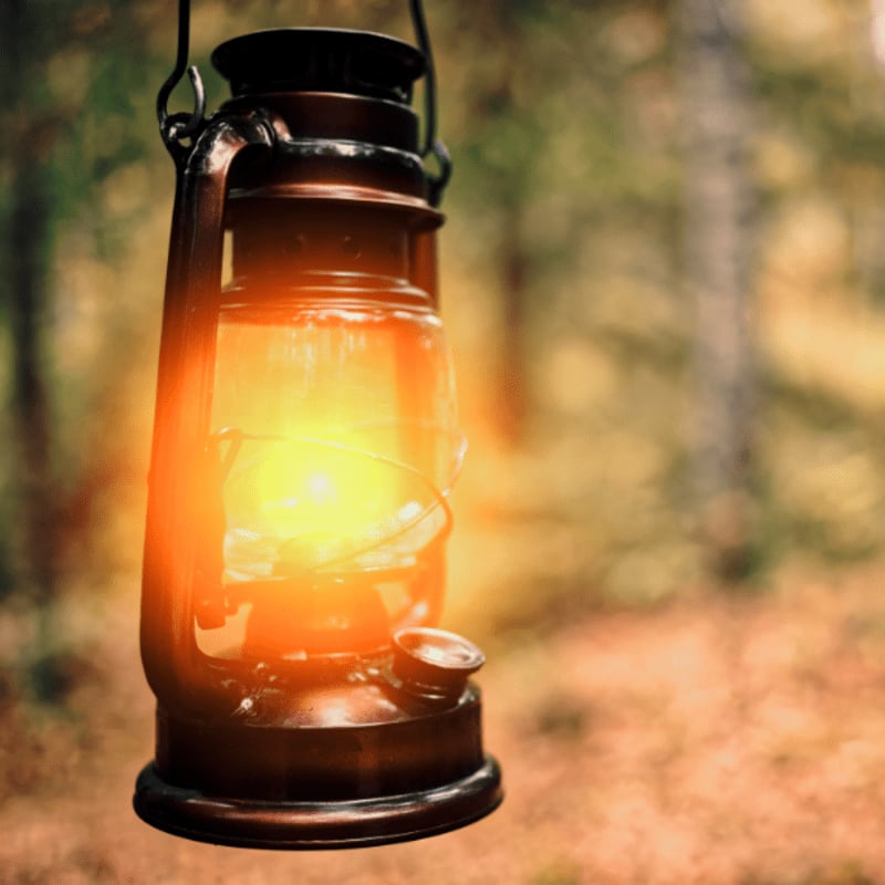 A glowing kerosene lantern hangs in the foreground against a blurred background of a forest floor covered in autumn leaves.