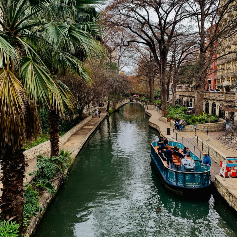 boat on river between trees during daytime