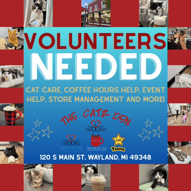 A collage of cats and coffee cups surrounds a central poster seeking volunteers for "The Catz Den" at 120 S Main St. Wayland, MI 49348.