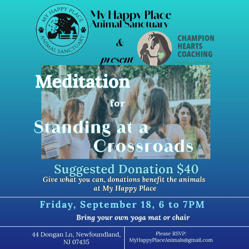 A group of people stand with horses in the foreground, while the background features text announcing a "Meditation for Standing at a Crossroads" event.