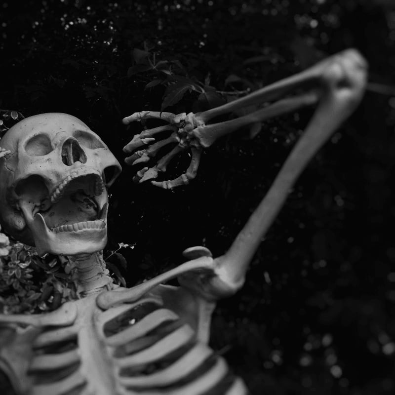 A human skeleton with an open jaw against dark foliage