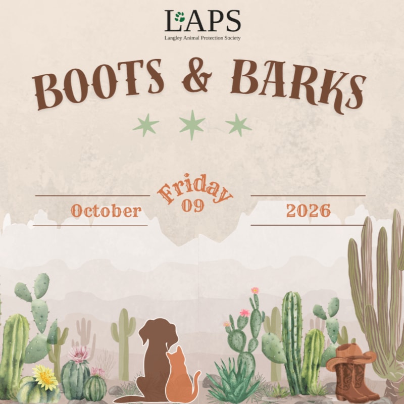 A dog and cat sit in the foreground against a desert landscape of cacti and a cowboy boot, with the "Boots & Barks" event details and LAPS logo in the background.