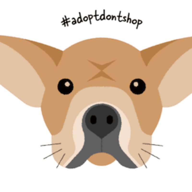 A cartoon dog's face with large ears and a hashtag in the background.