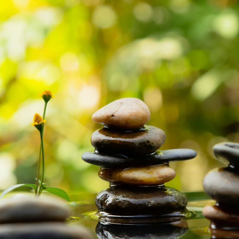 A group of rocks stacked on top of each other