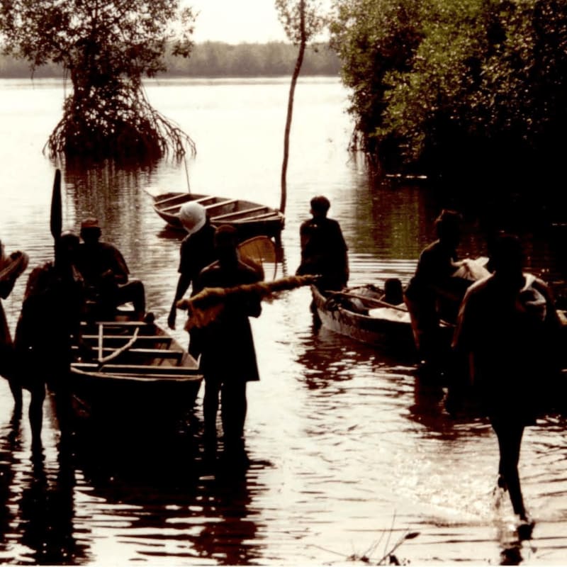 Silhouetted figures in boats navigate shallow, reflective water in the foreground, with a dense, tree-lined shore forming the background.