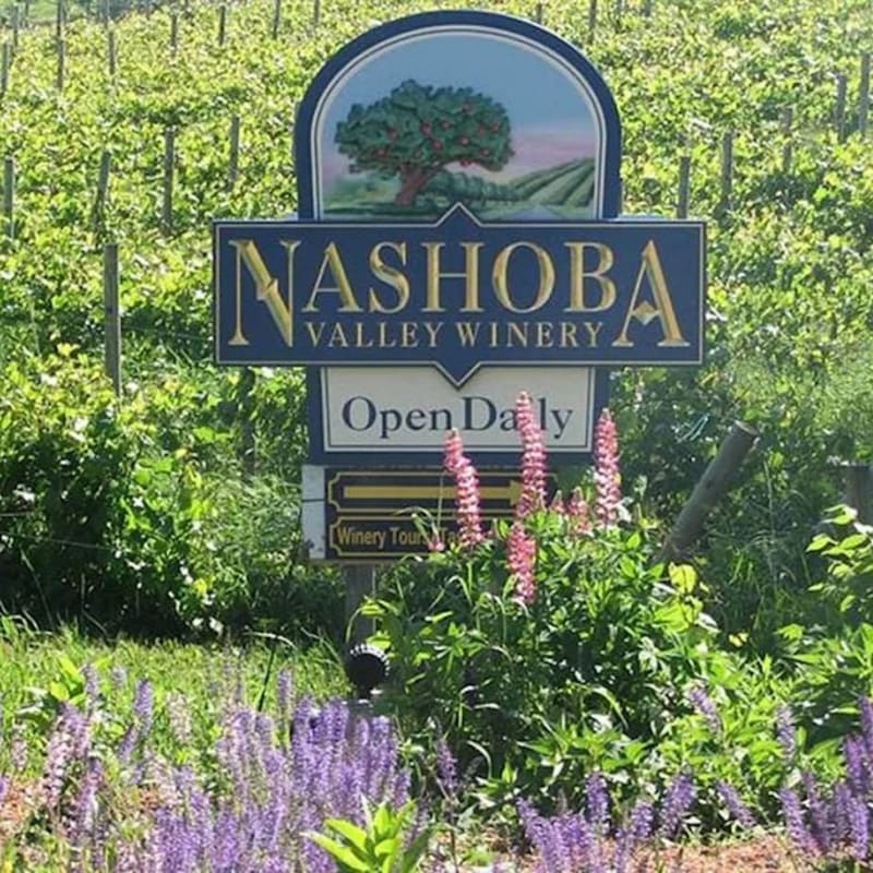 Pink lupine and purple flowers bloom in the foreground before a sign for Nashoba Valley Winery, set against a backdrop of lush green vineyard rows.