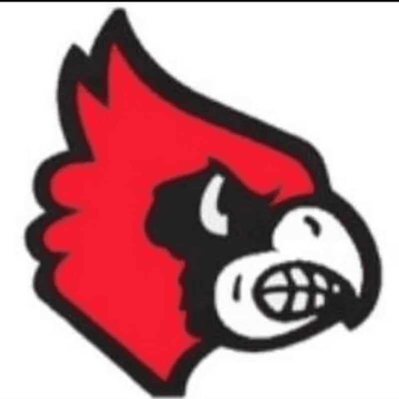 A red cardinal's head with a black face and white beak is set against a plain white background.