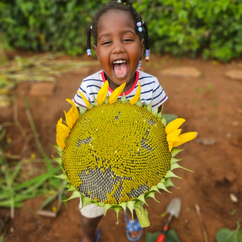 A joyful young girl with braided hair holds a large sunflower in the foreground, while a blurred garden with green foliage forms the background.