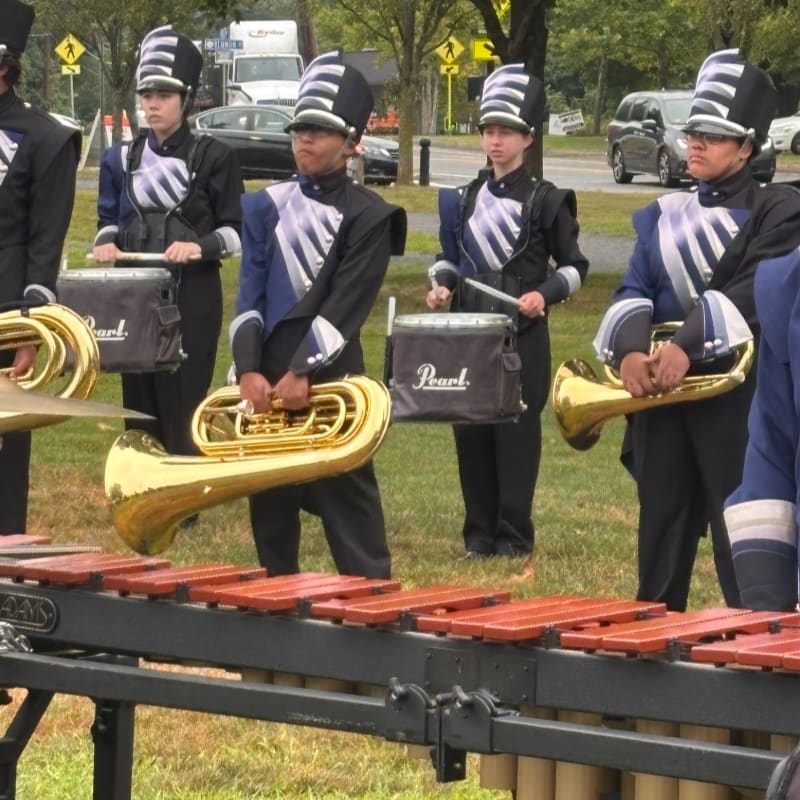 A marching band in uniform stands on a grassy field in front of a street with cars and trees.