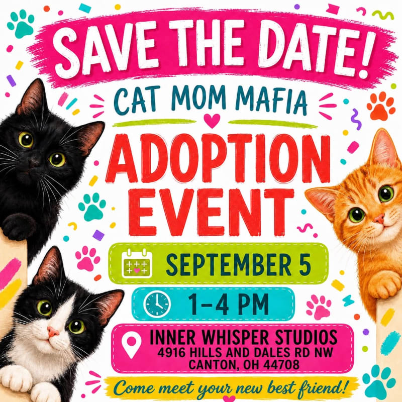 A vibrant "Save the Date" flyer for a cat adoption event features three adorable cats in the foreground against a colorful background with paw prints and confetti.