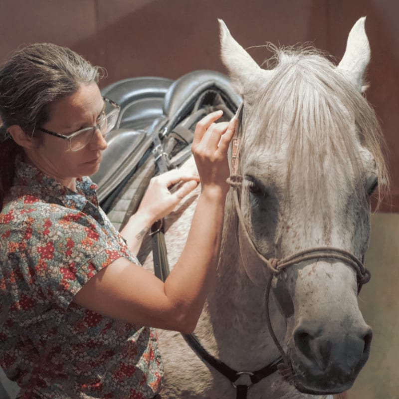 A woman in a patterned shirt adjusts a saddle on a white horse's back in front of a blurred stable wall.