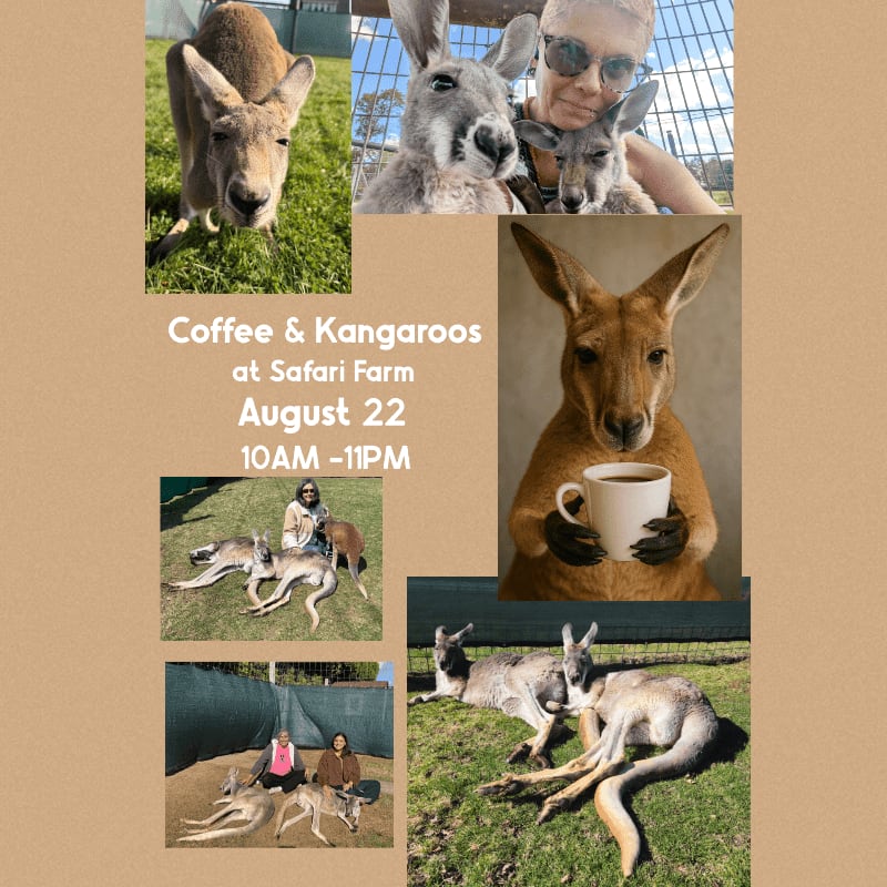Kangaroos are featured in various poses, some with people, against a backdrop of text and grassy enclosures.