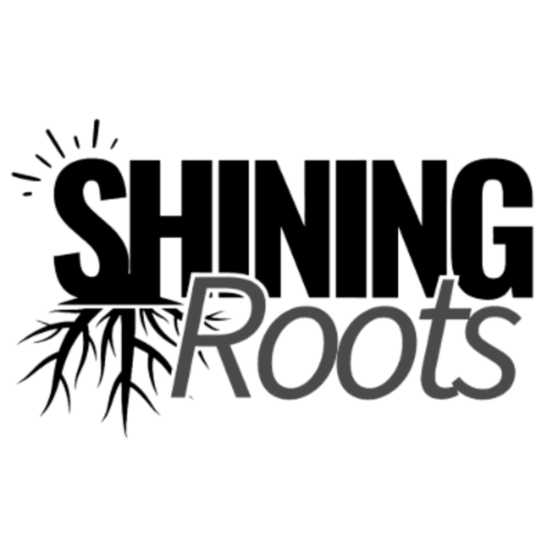 Black and white text "SHINING Roots" is displayed with stylized roots extending from the bottom of "SHINING" and radiating lines above it, against a plain background.