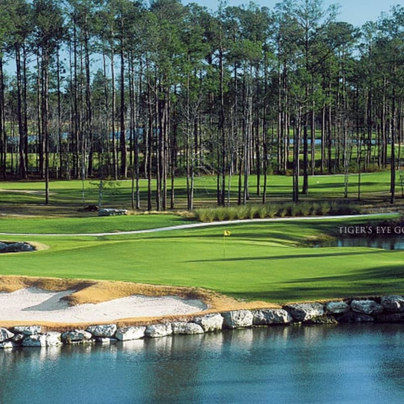 A pristine golf course with a sand trap and water in the foreground is bordered by a dense forest of tall pine trees in the background.