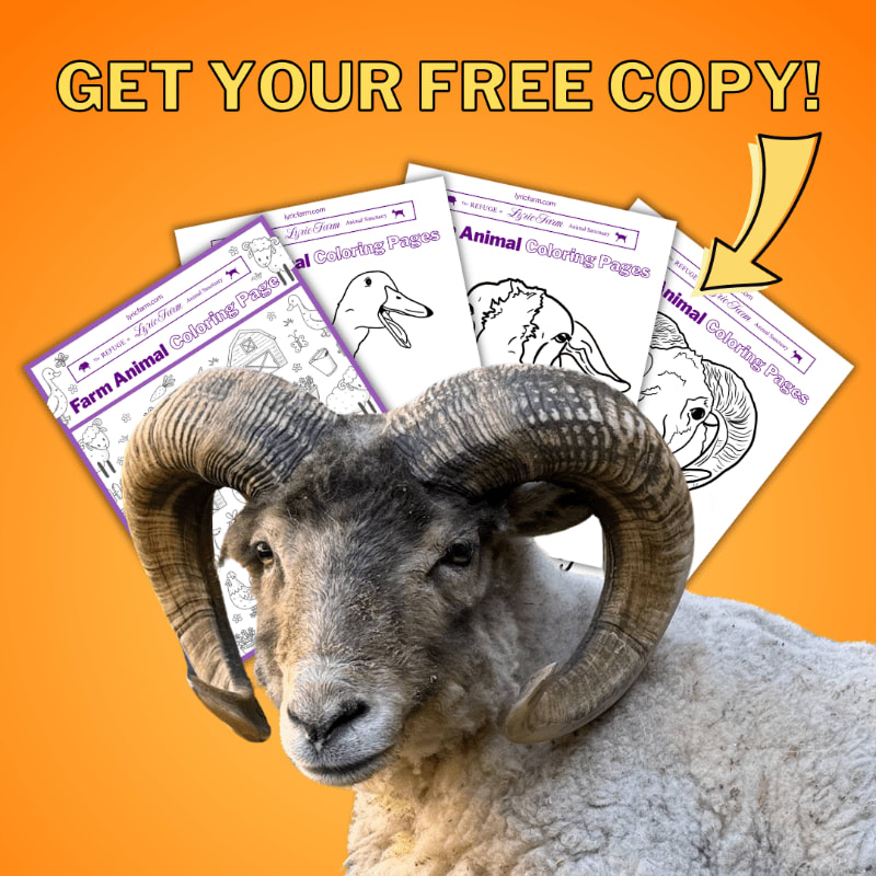 A close-up of a ram's head with large curled horns is in the foreground, while a fan of animal coloring pages is in the background, all against an orange gradient.