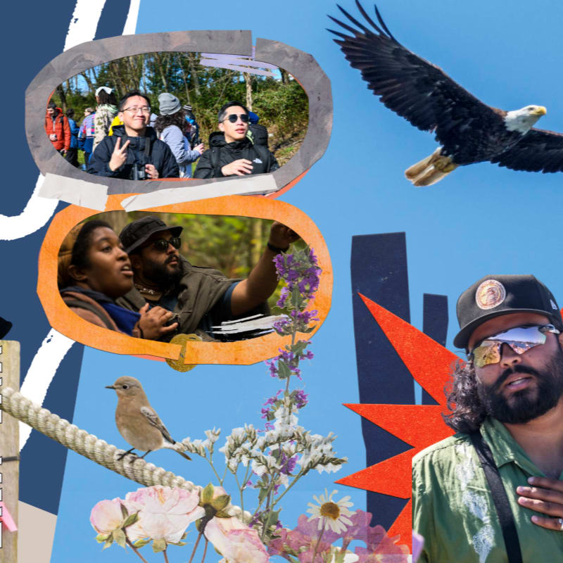 A collage features a man in the foreground with a bird and flowers, while the background shows an eagle flying near a cityscape and framed photos of people.