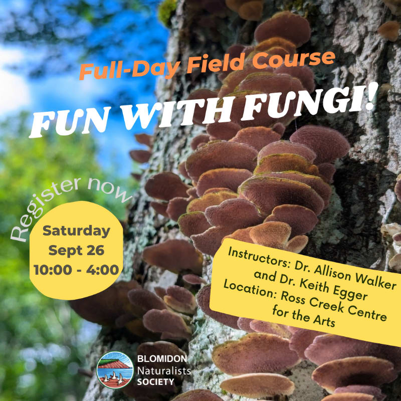 A close-up of shelf fungi growing on a tree trunk is in the foreground, with text overlaying the image announcing a "Full-Day Field Course: FUN WITH FUNGI!" and details about registration, instructors, and location.