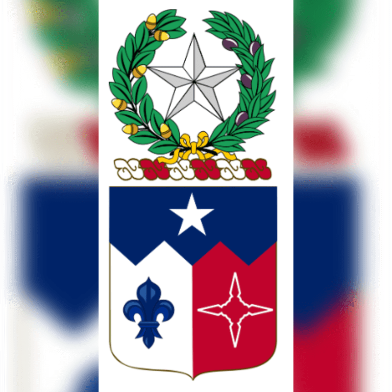 A Texas star emblem is framed by a wreath of green leaves and berries above a shield divided into red, white, and blue sections, featuring a white star, a blue fleur-de-lis, and a red four-pointed star, all set against a blurred background.