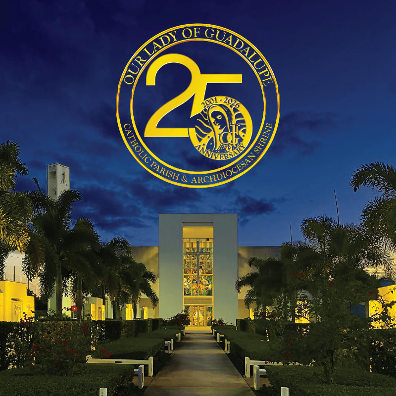 A modern white building with palm trees in the foreground is set against a dark blue sky with a large golden "25" anniversary logo.