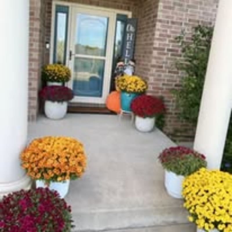 Colorful mums in white pots adorn a porch with a brick house and a glass door in the background.