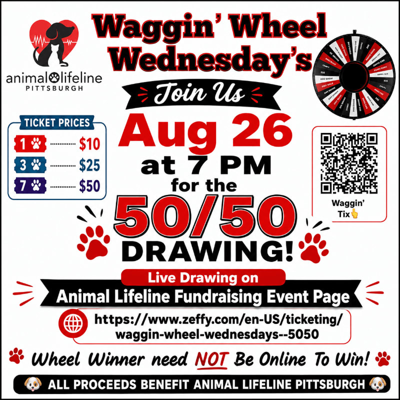A colorful flyer advertises "Waggin' Wheel Wednesday's" on August 26th at 7 PM for a 50/50 drawing, with ticket prices and a website listed in the foreground, against a background of paw prints and a spinning wheel graphic.
