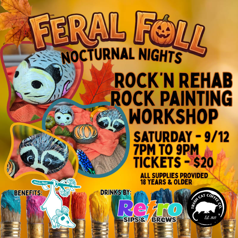 Painted rocks with animal designs are displayed in the foreground, while the background features fall leaves and event details for a "Feral Foll Nocturnal Nights Rock Painting Workshop."