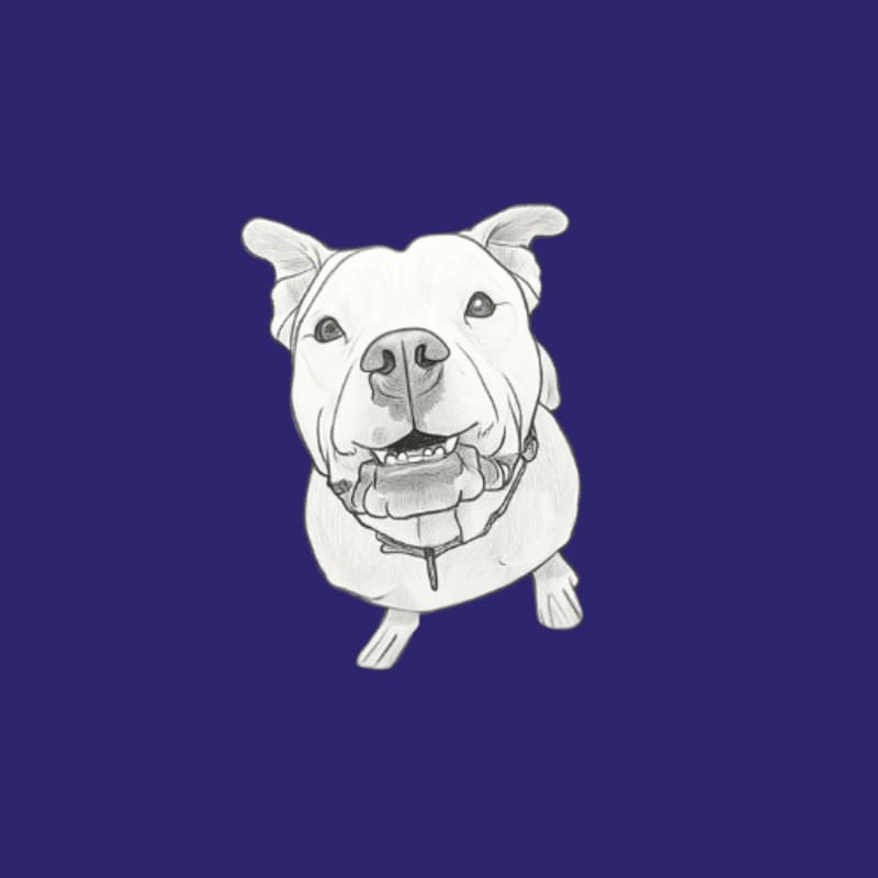 A smiling white dog with floppy ears is drawn in a sketch style against a solid dark blue background.