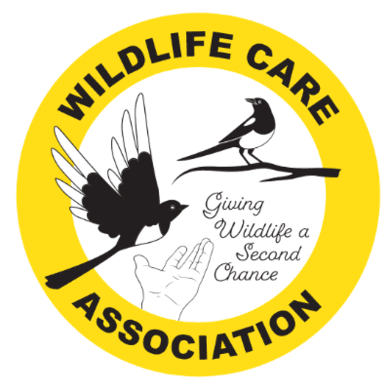 A yellow circle frames a logo with two black and white birds, one in flight and one perched on a branch, above an open hand and the text "Giving Wildlife a Second Chance" within a white inner circle, all against a white background.