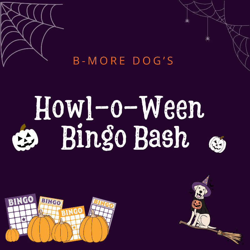 A Halloween-themed "Howl-o-Ween Bingo Bash" graphic features bingo cards and pumpkins in the foreground against a dark purple background with spiderwebs and a dog on a broomstick in the background.