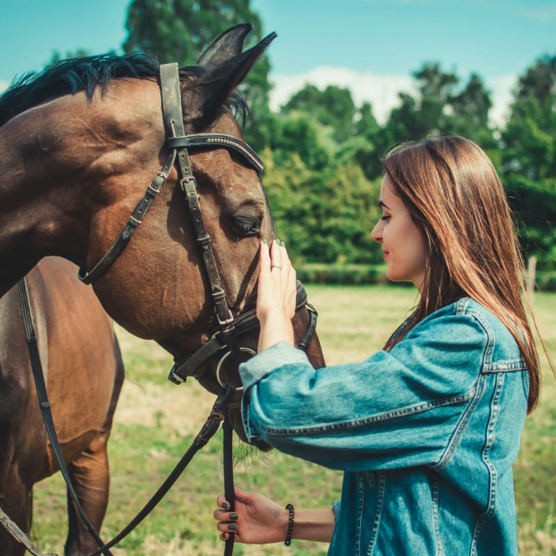 woman in blue denim jacket standing beside brown horse during daytime