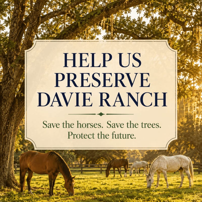 Horses graze in a sun-dappled field in front of a large oak tree, with a message about preserving Davie Ranch in the background.