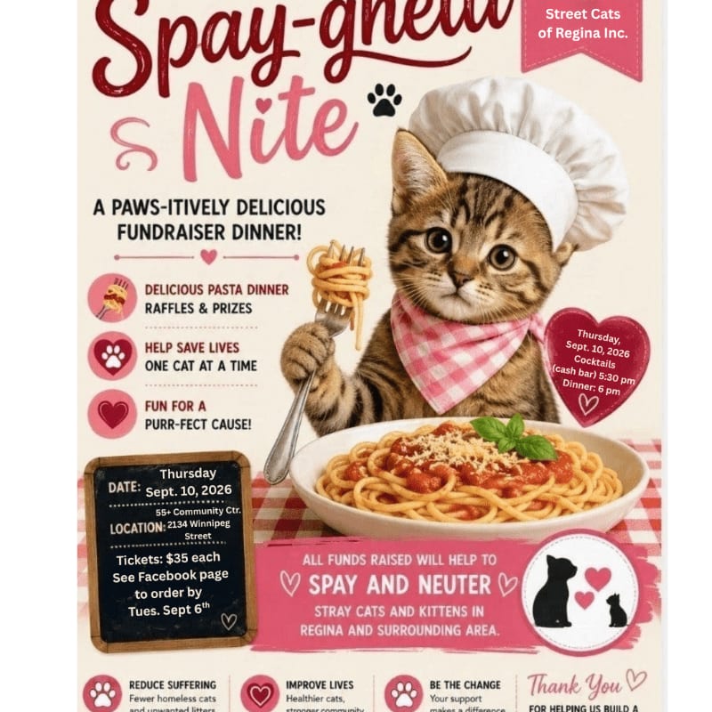 A cute cat wearing a chef's hat and apron eats spaghetti in the foreground, while the background features event details for a fundraiser dinner.