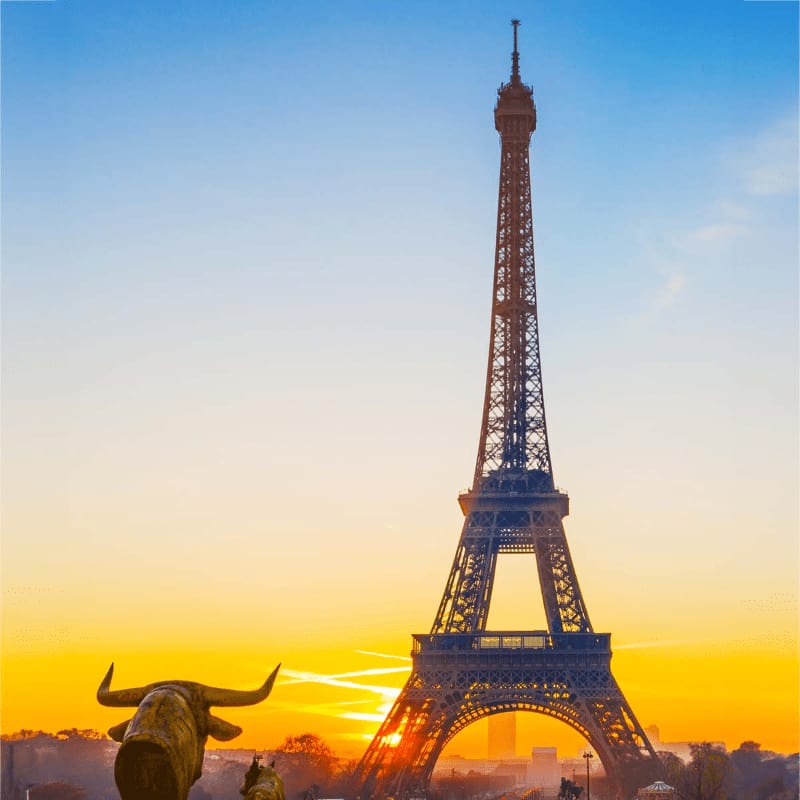 A bronze bull statue stands in the foreground against the backdrop of the Eiffel Tower at sunset.