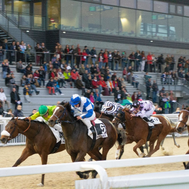 a group of people riding on the backs of horses