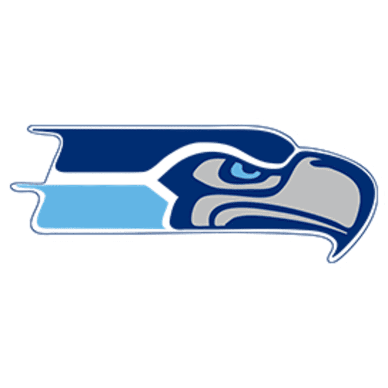 A stylized blue and gray hawk's head with light blue accents is centered on a white background.