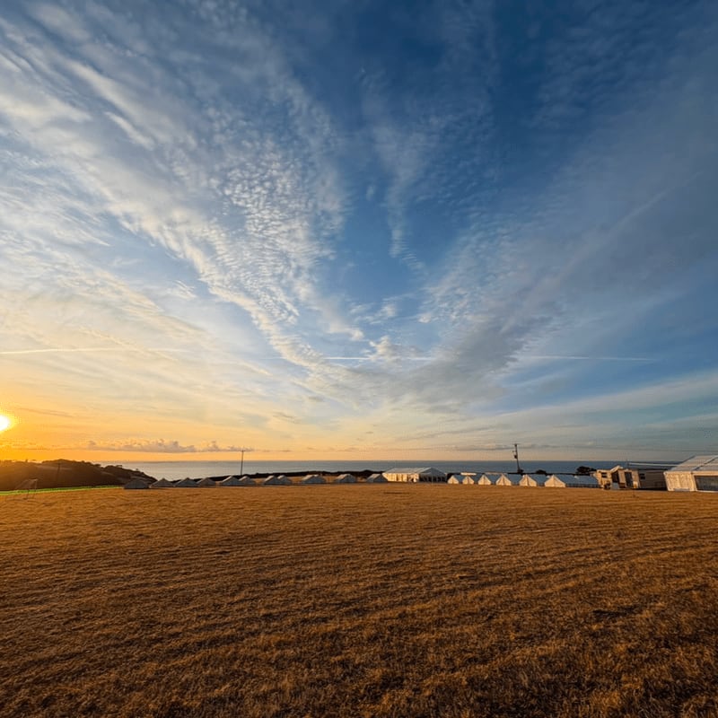 A golden field stretches towards a line of white structures and the ocean under a vast, streaky blue sky with a setting sun.