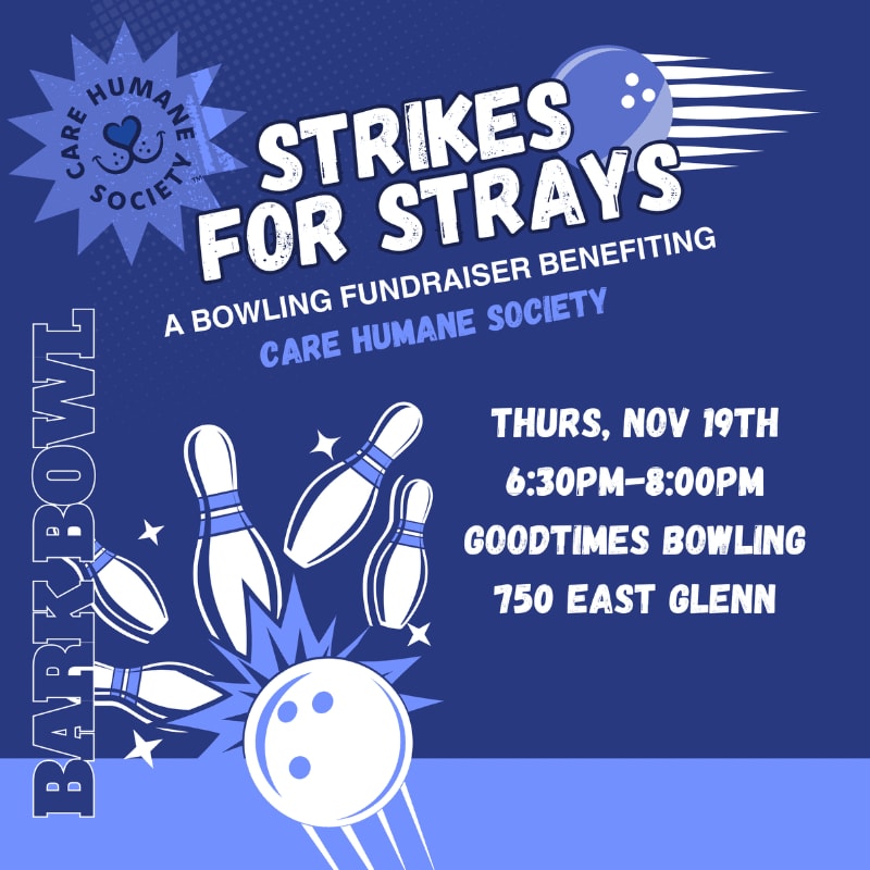 A bowling ball is about to strike pins in the foreground, with event details for "Strikes for Strays" benefiting the Care Humane Society in the background.