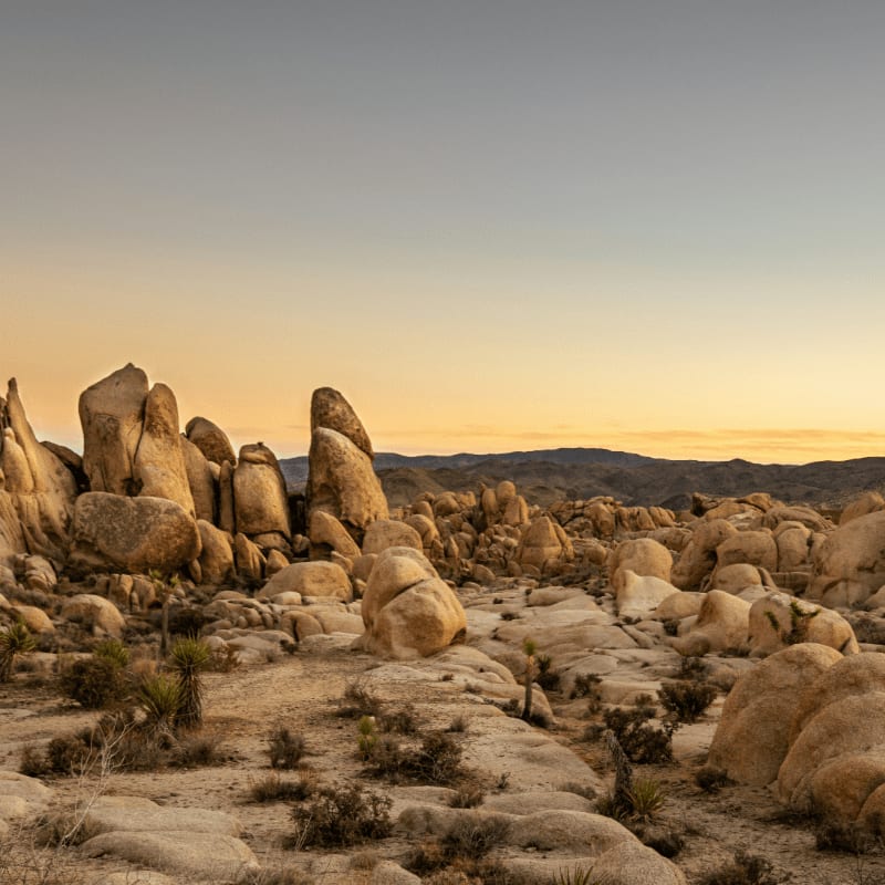 brown rocks on brown field during daytime