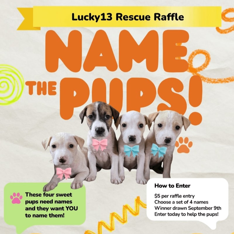 Four adorable puppies wearing bow ties are featured in the foreground, with a "Name the Pups!" raffle announcement in the background.