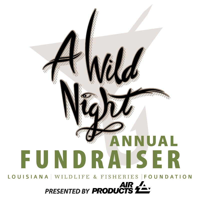 In the foreground, bold green text announces "ANNUAL FUNDRAISER" below a stylized black script reading "A Wild Night," while the background features a muted gray geometric design.