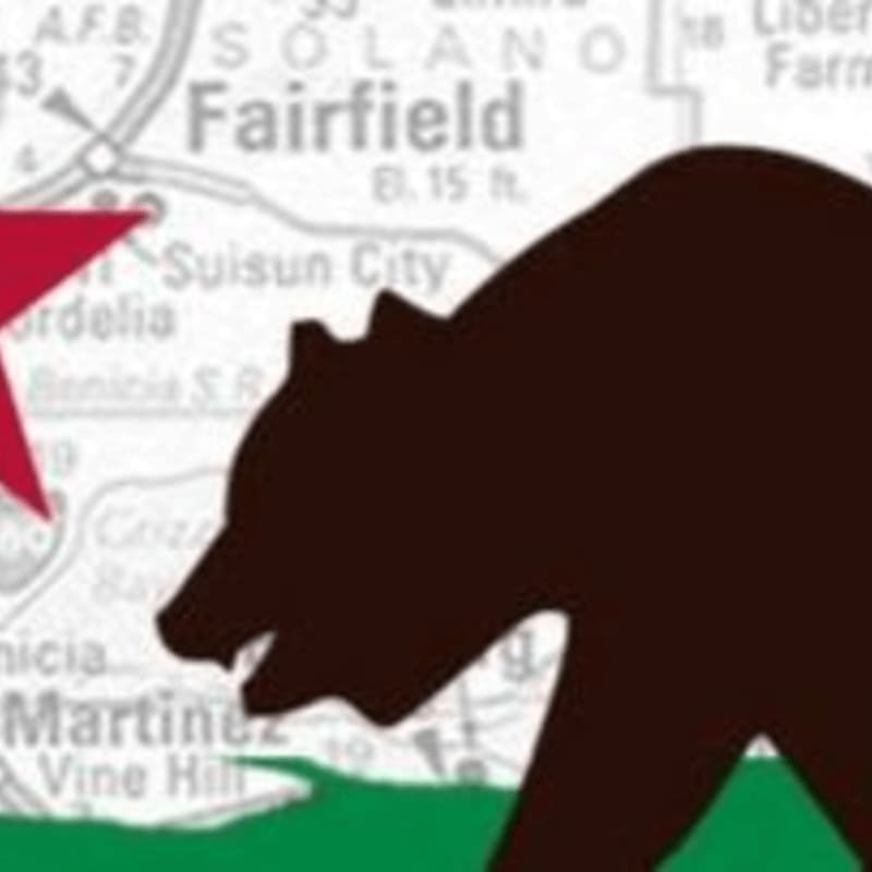 A dark brown bear and a red star are in the foreground against a map of California with the text "NSGW.ORG" and a circular emblem in the background.